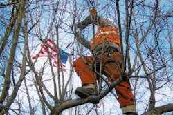 Tree Care Trends Arborist 10757626