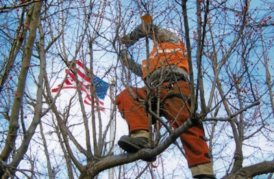 Tree Care Trends Arborist 10757626