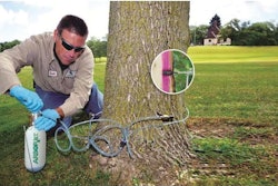Arborjet develops remedies for some of the world's most invasive pest insects and diseases.