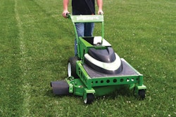 Wbxcuttinggrass 10822516