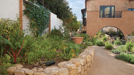 At Victoria Garden Mews in Santa Barbara, CA, the shared vegetable garden and 30 fruit trees provide fresh produce to the residents, along with a place for social interaction.