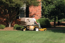 Manicured Lawn Landscaping Wal 10840395