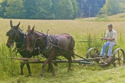 This vintage front-mount mower packed a lot of horsepower, but didn't quite make our list.