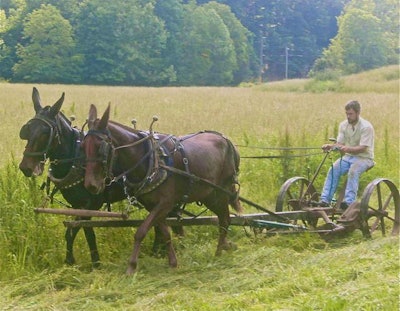 This vintage front-mount mower packed a lot of horsepower, but didn't quite make our list.