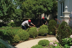 Shrub Pruning 10855574