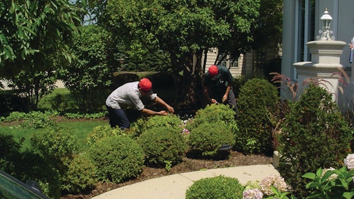 Shrub Pruning 10855574