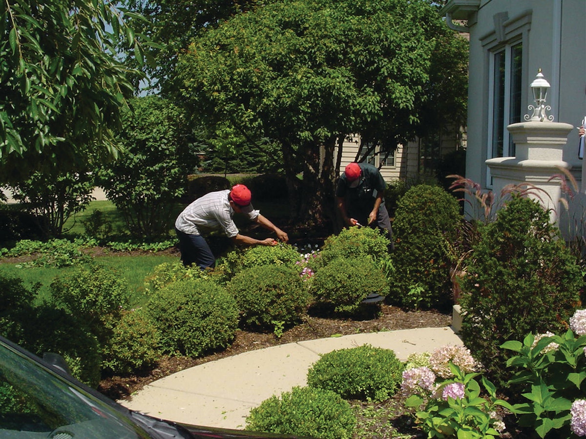 Tree Shrub Service Unique Niches Green Industry Pros