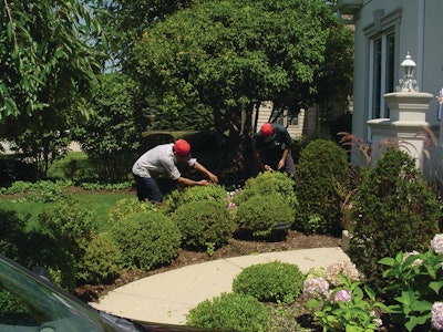 Shrub Pruning 10855574