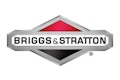 Briggsandstratton 107065021 10897858