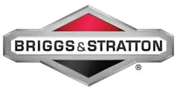 Briggsandstratton 107065021 10897858