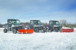 Brutus Family Snow