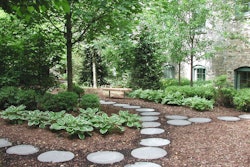 Green Space D Js Landscape Management