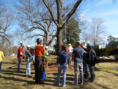 Student Career Days 2013 Tree Care