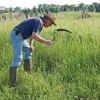 Old-school sickle mowing has given way to technology too.