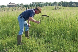 Old-school sickle mowing has given way to technology too.