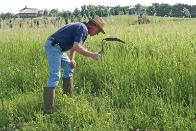 Old-school sickle mowing has given way to technology too.