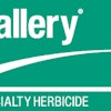 Dow Gallery Logo 10976021