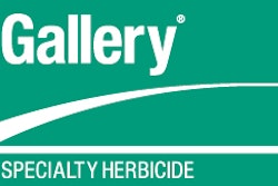 Dow Gallery Logo 10976021