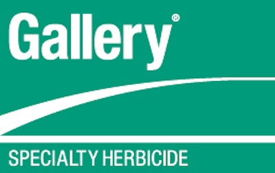 Dow Gallery Logo 10976021