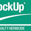 Dow Lockup Logo 10976012