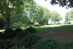 Mowing Open Lawn 10959451