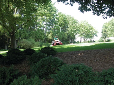 Mowing Open Lawn 10959451
