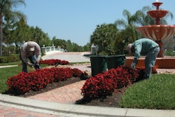 Large Commercial Pruning Crew 10985128