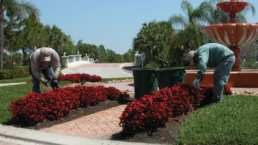 Large Commercial Pruning Crew 10985128