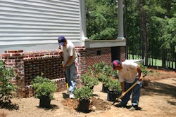 Planting Shrubs In Base 10986031