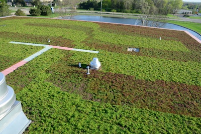 New green roof at Badger Meter