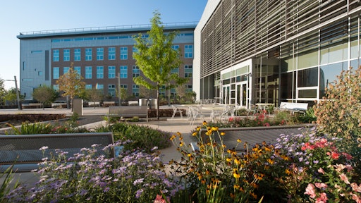 Colorful native landscape surrounds eastern plaza seating and circulation areas at National Renewable Energy Lab (NREL) Research Support Facility.