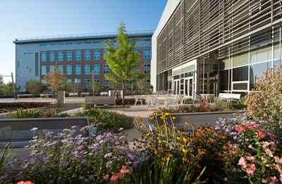 Colorful native landscape surrounds eastern plaza seating and circulation areas at National Renewable Energy Lab (NREL) Research Support Facility.