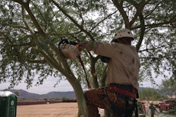 Photo from All Year Round Tree & Landscape Management in Phoenix, AZ.