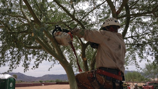 Photo from All Year Round Tree & Landscape Management in Phoenix, AZ.