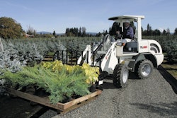 Terex Tl60 Wheel Loader 11148482