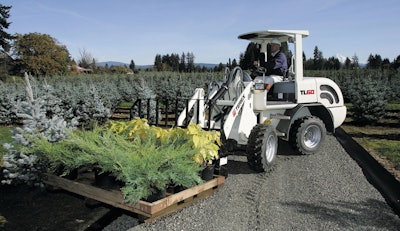 Terex Tl60 Wheel Loader 11148482