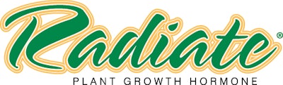 Radiate R 11292901