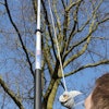 2 11 Pole Pruner Action