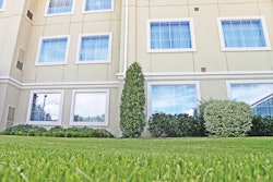Commercial Lawn 11305774