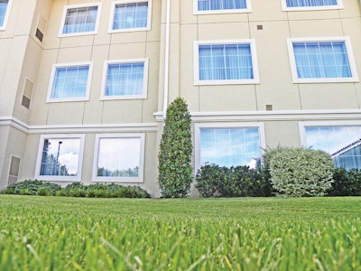 Commercial Lawn 11305774