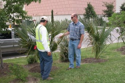 Lawn Tech And Manager 11307613