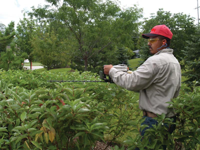 Eye and hearing protection are essential PPE elements when operating handheld equipment such as hedgetrimmers. What else? Anything missing here?