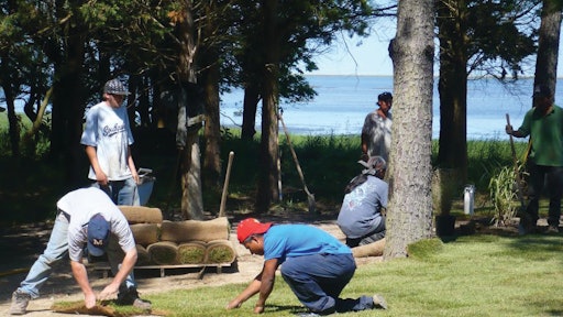 Sod Installation 11314290