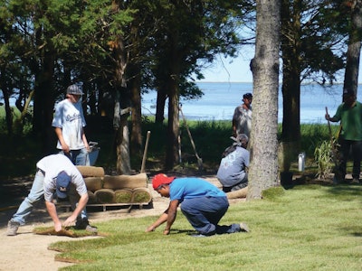 Sod Installation 11314290