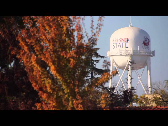 Sddefault 11351728 jpg