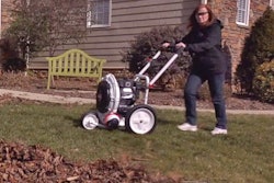 C5 Action Leaves 11389024