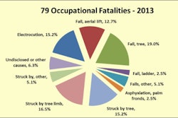 Tree Care Accident Graphic For Online