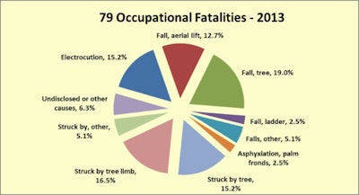 Tree Care Accident Graphic For Online