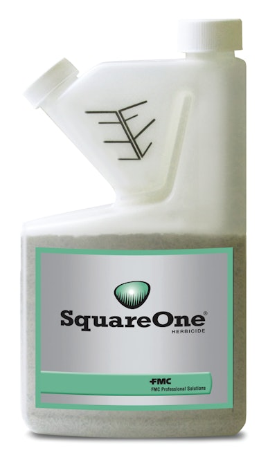 Squareone Product Hr 11527304
