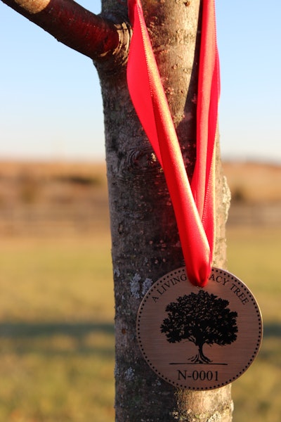 Tree Ceremony